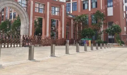 学校蜜桃视频在线播放是否有必要